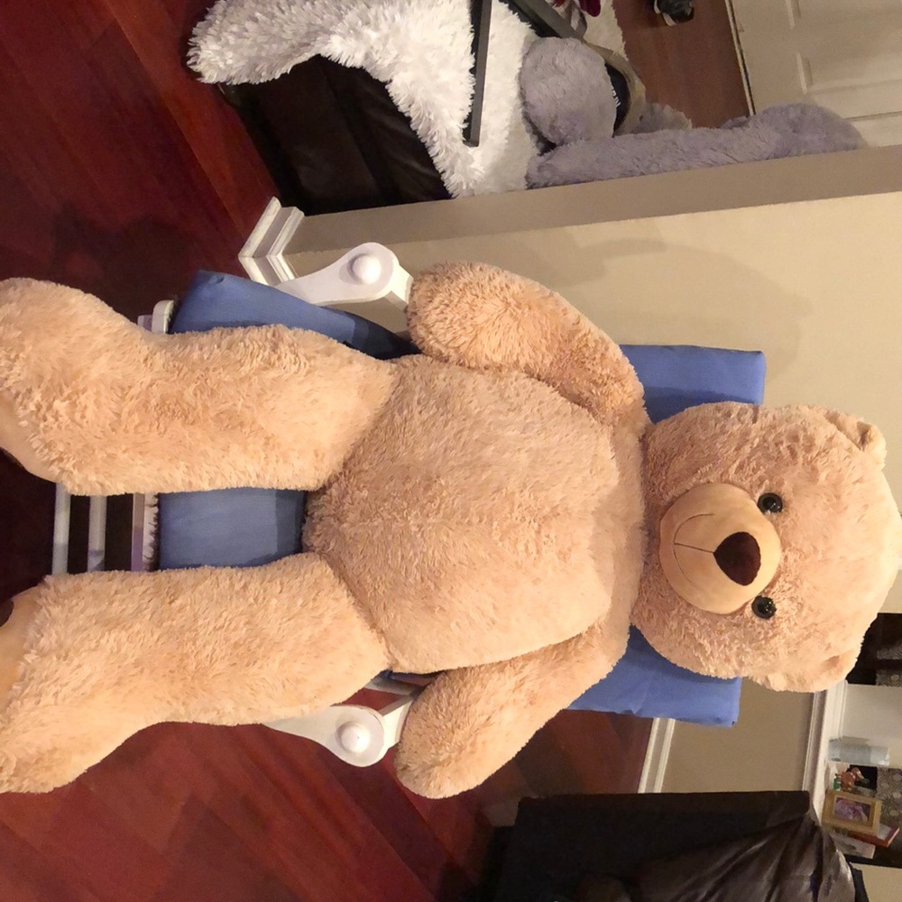 Giant teddy bear
